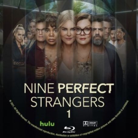 Nine Perfect Strangers Season 1