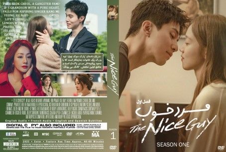 The Nice Guy Season 1