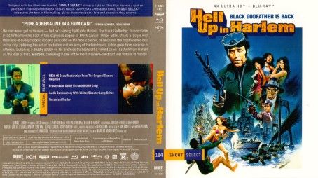 Hell Up in Harlem 1973